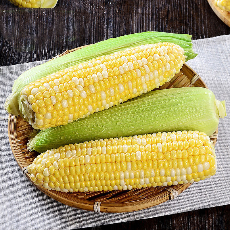 Jäädyttää kuivattu maissi Jäädyttää kuivattu maissi