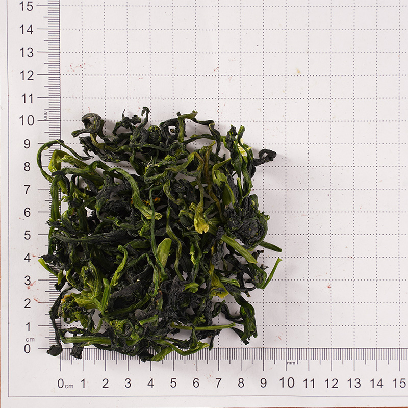 Kuivunut vihreä varsi vihannes Kuivunut vihreä varsi vihannes