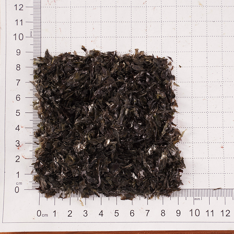 Kuivunut nori Kuivunut nori