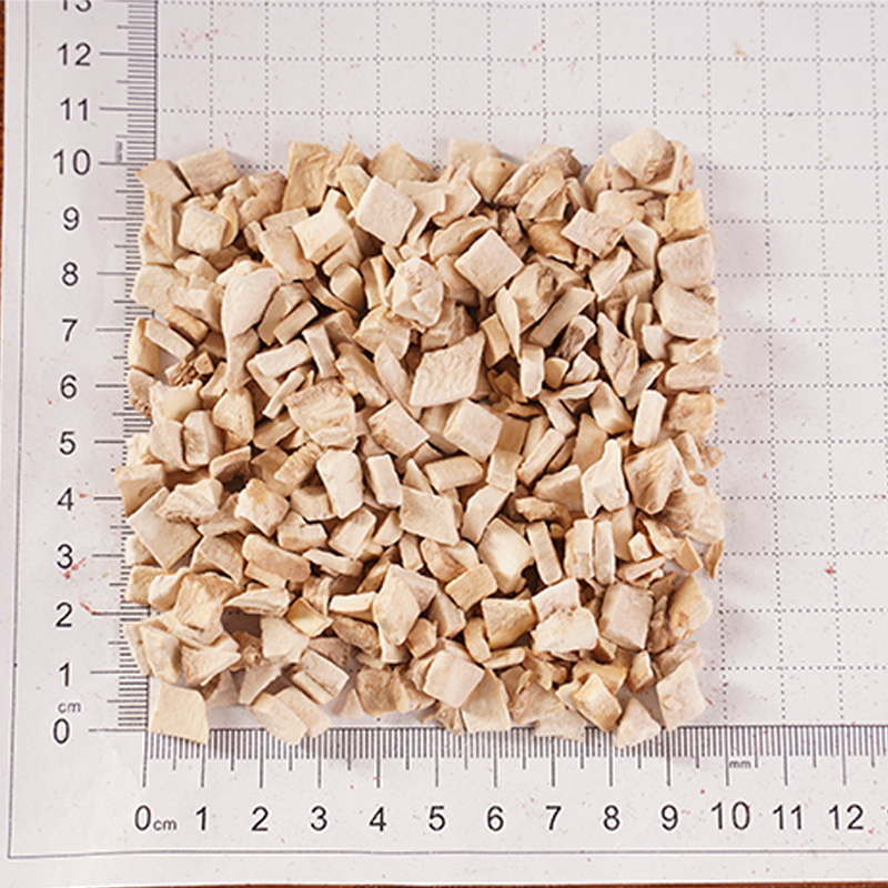 Jäädyttää kuivattu sieni Jäädyttää kuivattu sieni